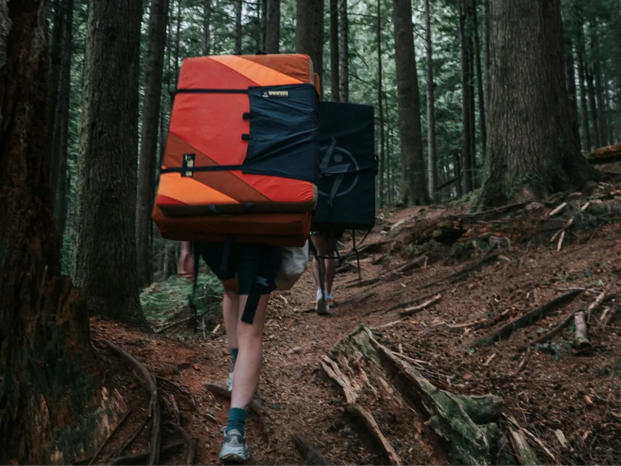 Crashpad en forêt de Fontainebleau